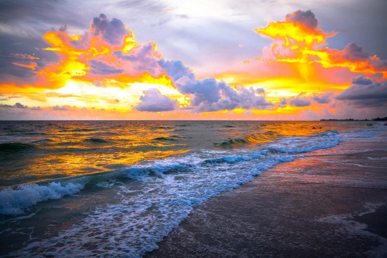 בראדנטון ביץ' Anna Maria Island Beach Palms 8B מראה חיצוני תמונה