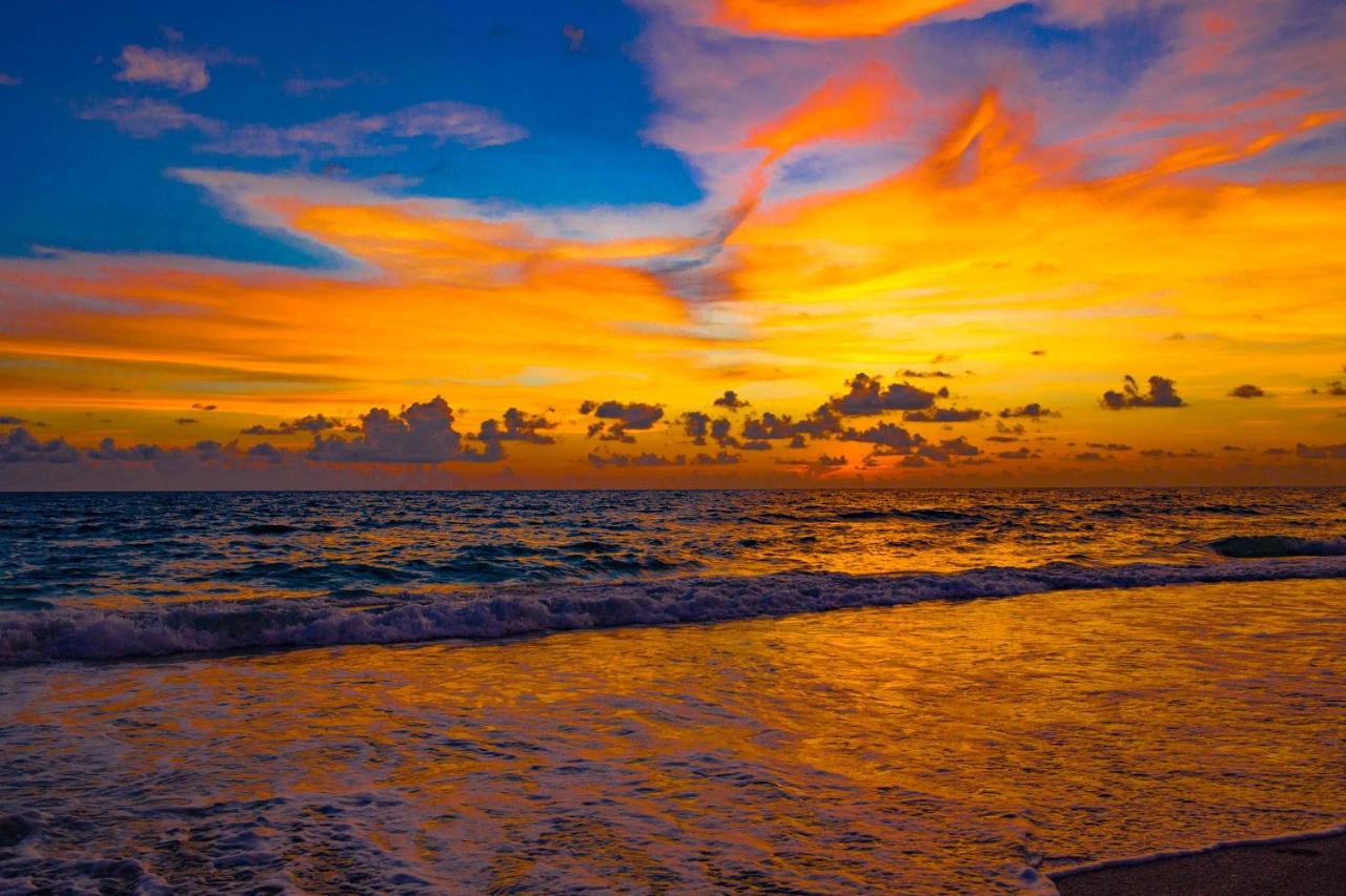 בראדנטון ביץ' Anna Maria Island Beach Palms 8B מראה חיצוני תמונה
