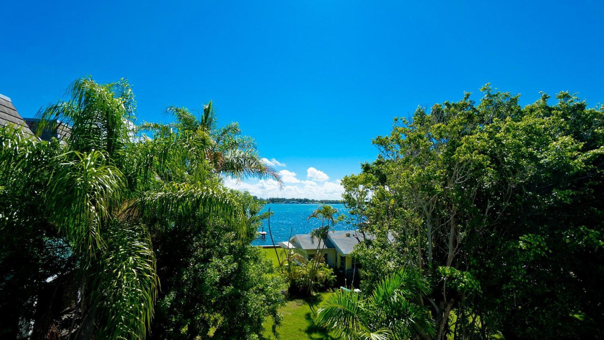 בראדנטון ביץ' Anna Maria Island Beach Palms 8B מראה חיצוני תמונה