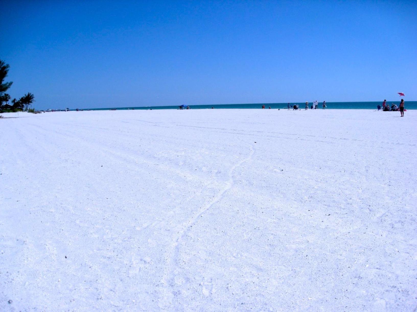 בראדנטון ביץ' Anna Maria Island Beach Palms 8B מראה חיצוני תמונה